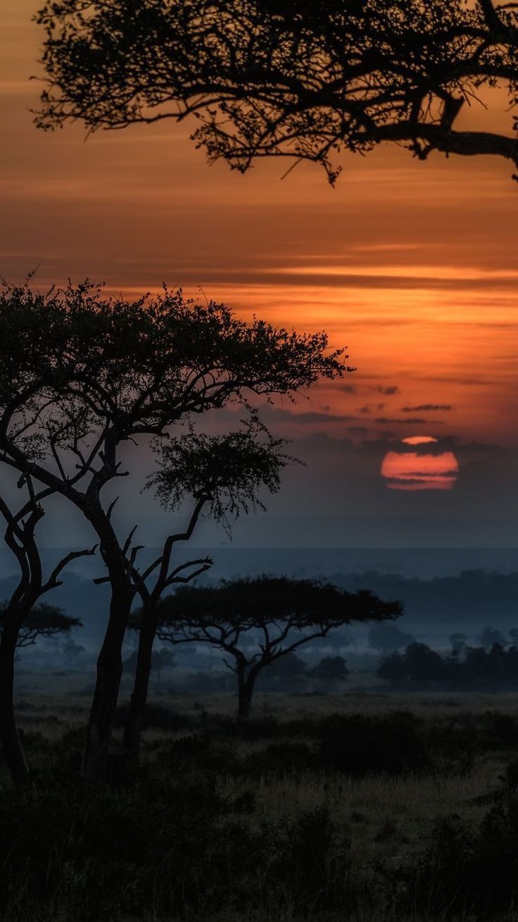 Africa